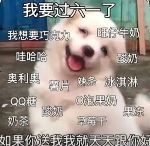 娱乐爆料文案沙雕小技巧,轻松掌握趣味文案小技巧  第1张